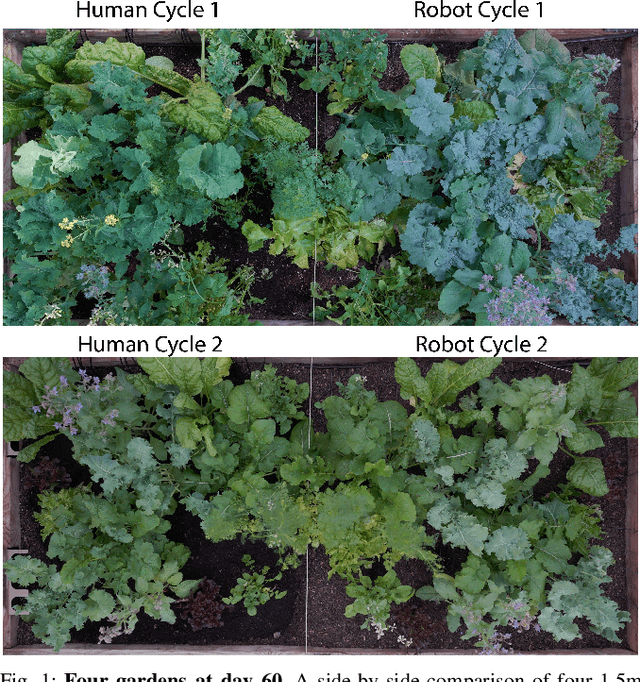 Figure 1 for Can Machines Garden? Systematically Comparing the AlphaGarden vs. Professional Horticulturalists