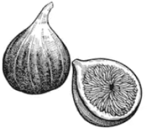 Figure 1 for Tube Loss based Deep Networks For Improving the Probabilistic Forecasting of Wind Speed