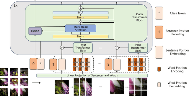 Figure 1 for Nested-TNT: Hierarchical Vision Transformers with Multi-Scale Feature Processing