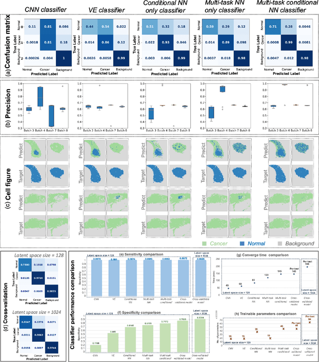 Figure 3 for Interpretable cancer cell detection with phonon microscopy using multi-task conditional neural networks for inter-batch calibration