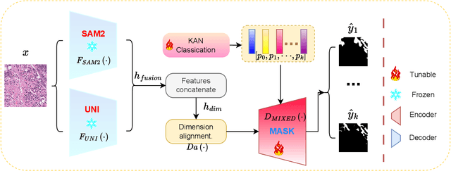 Figure 1 for SAM2-PATH: A better segment anything model for semantic segmentation in digital pathology