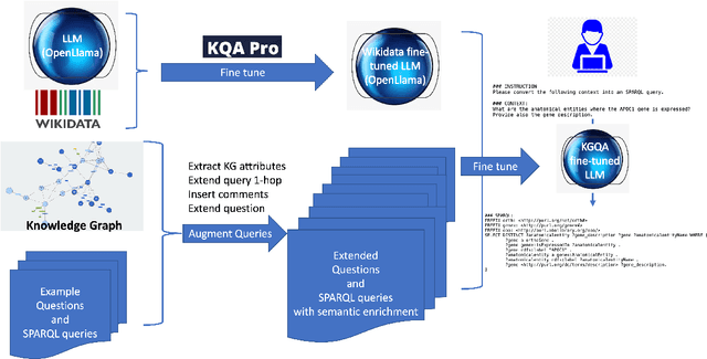 Figure 1 for SPARQL Generation: an analysis on fine-tuning OpenLLaMA for Question Answering over a Life Science Knowledge Graph