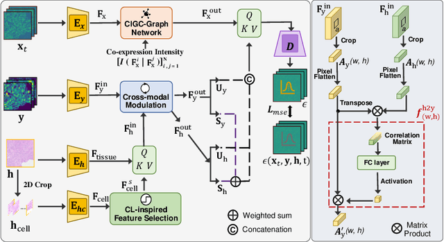 Figure 3 for Cross-modal Diffusion Modelling for Super-resolved Spatial Transcriptomics