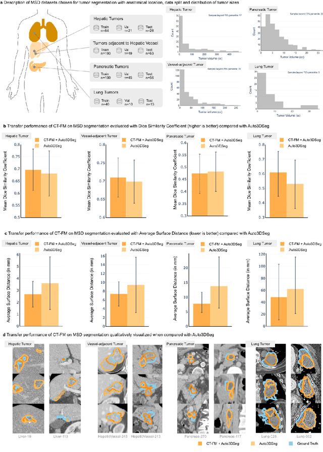 Figure 3 for Vision Foundation Models for Computed Tomography