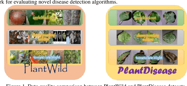 Figure 1 for DS_FusionNet: Dynamic Dual-Stream Fusion with Bidirectional Knowledge Distillation for Plant Disease Recognition