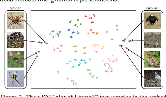 Figure 4 for Fine-grained Classes and How to Find Them
