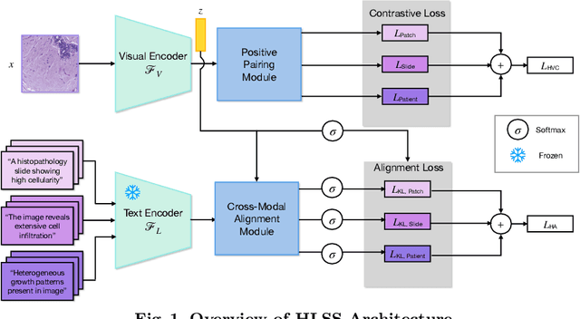 Figure 1 for Hierarchical Text-to-Vision Self Supervised Alignment for Improved Histopathology Representation Learning