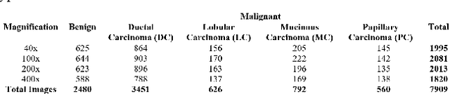 Figure 2 for Class-Specific Data Augmentation: Bridging the Imbalance in Multiclass Breast Cancer Classification