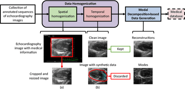 Figure 3 for Automatic Cardiac Pathology Recognition in Echocardiography Images Using Higher Order Dynamic Mode Decomposition and a Vision Transformer for Small Datasets