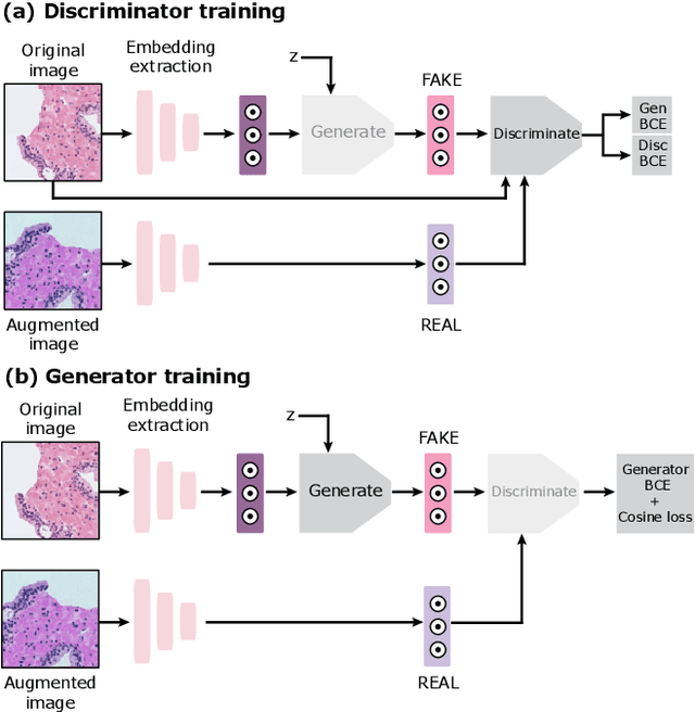 Figure 4 for Embedding Space Augmentation for Weakly Supervised Learning in Whole-Slide Images