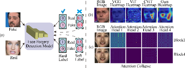 Figure 1 for Distilled Transformers with Locally Enhanced Global Representations for Face Forgery Detection