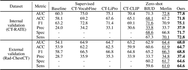 Figure 4 for Large-scale and Fine-grained Vision-language Pre-training for Enhanced CT Image Understanding
