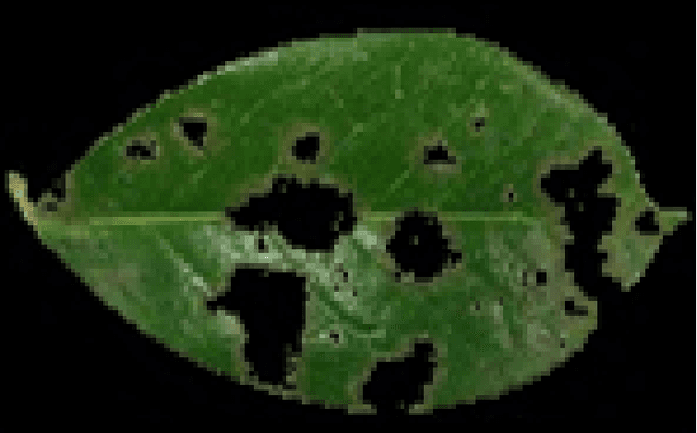 Figure 3 for Unified View of Damage leaves Planimetry & Analysis Using Digital Images Processing Techniques