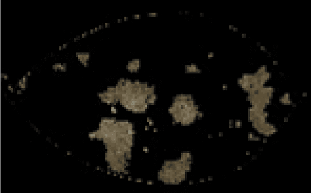 Figure 4 for Unified View of Damage leaves Planimetry & Analysis Using Digital Images Processing Techniques