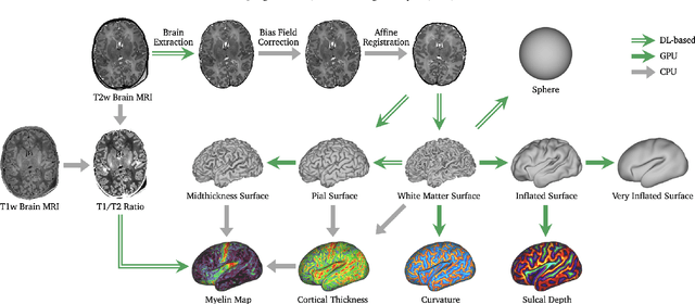 Figure 3 for The Developing Human Connectome Project: A Fast Deep Learning-based Pipeline for Neonatal Cortical Surface Reconstruction
