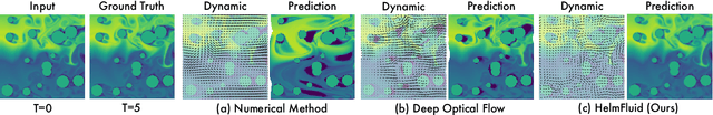 Figure 1 for HelmSim: Learning Helmholtz Dynamics for Interpretable Fluid Simulation