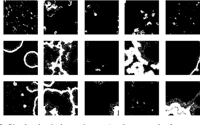 Figure 3 for ReWaRD: Retinal Waves for Pre-Training Artificial Neural Networks Mimicking Real Prenatal Development