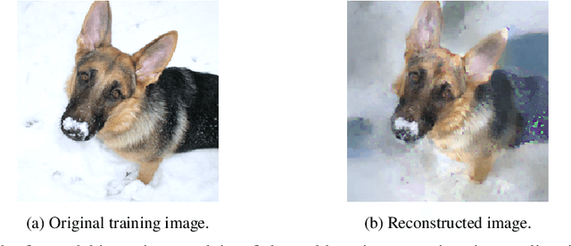 Figure 1 for Assessing the Impact of Image Dataset Features on Privacy-Preserving Machine Learning