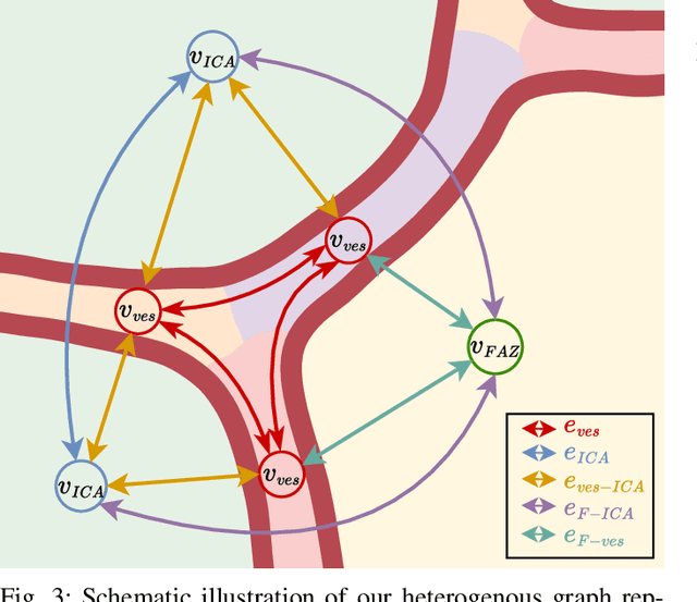 Figure 3 for Interpretable Retinal Disease Prediction Using Biology-Informed Heterogeneous Graph Representations