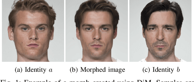Figure 1 for Exploring the Design Space of Diffusion Autoencoders for Face Morphing