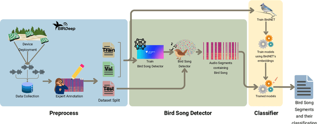 Figure 1 for A Bird Song Detector for improving bird identification through Deep Learning: a case study from Doñana