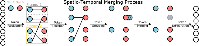 Figure 2 for Video, How Do Your Tokens Merge?