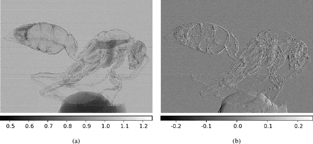 Figure 4 for Transport-of-Intensity Model for Single-Mask X-ray Differential Phase Contrast Imaging