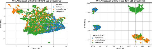 Figure 4 for Relational Schemata in BERT Are Inducible, Not Emergent: A Study of Performance vs. Competence in Language Models
