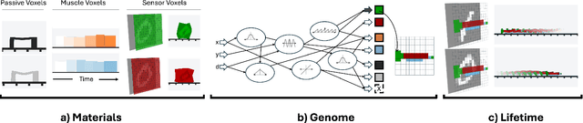 Figure 1 for Morphological Cognition: Classifying MNIST Digits Through Morphological Computation Alone