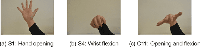 Figure 3 for Recognition of Unseen Combined Motions via Convex Combination-based EMG Pattern Synthesis for Myoelectric Control