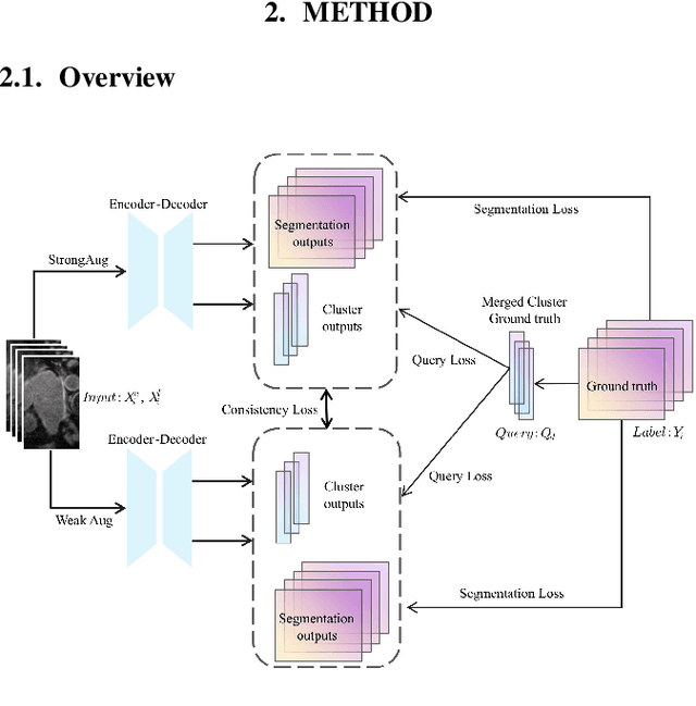Figure 1 for Semi-supervised Medical Image Segmentation via Query Distribution Consistency