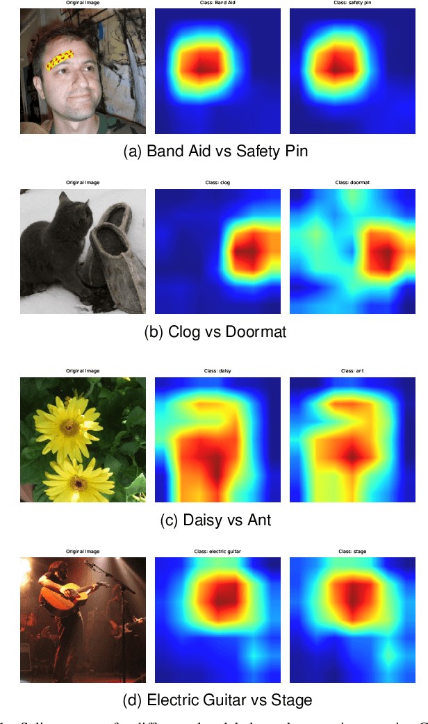 Figure 1 for "CASE: Contrastive Activation for Saliency Estimation