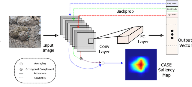 Figure 4 for "CASE: Contrastive Activation for Saliency Estimation