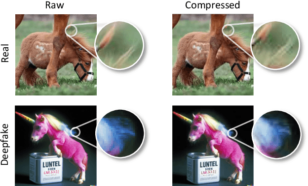 Figure 1 for Pay Less Attention to Deceptive Artifacts: Robust Detection of Compressed Deepfakes on Online Social Networks