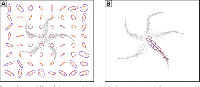 Figure 3 for Identifying latent distances with Finslerian geometry