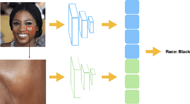 Figure 4 for FaceSkin: A Privacy Preserving Facial skin patch Dataset for multi Attributes classification