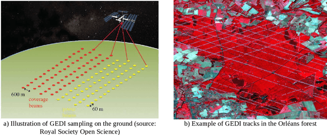 Figure 3 for Estimation of forest height and biomass from open-access multi-sensor satellite imagery and GEDI Lidar data: high-resolution maps of metropolitan France