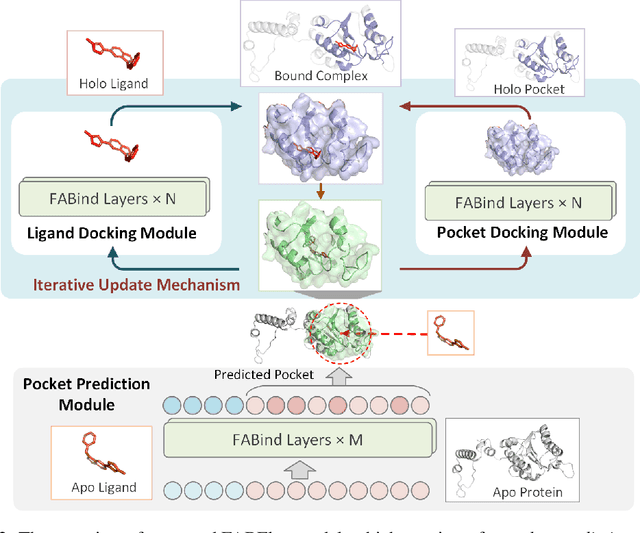 Figure 3 for Fast and Accurate Blind Flexible Docking
