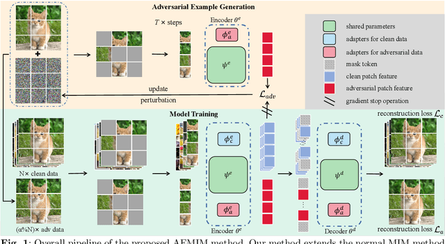 Figure 1 for AEMIM: Adversarial Examples Meet Masked Image Modeling