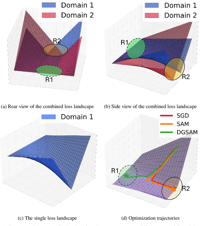 Figure 1 for DGSAM: Domain Generalization via Individual Sharpness-Aware Minimization