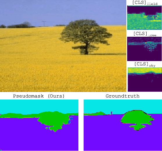 Figure 1 for Know Your Attention Maps: Class-specific Token Masking for Weakly Supervised Semantic Segmentation