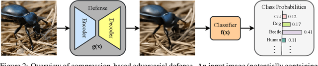 Figure 3 for Keep It Real: Challenges in Attacking Compression-Based Adversarial Purification