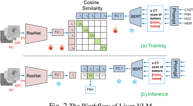 Figure 3 for A Vision-Language Model for Focal Liver Lesion Classification