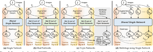 Figure 3 for Boosting Semi-Supervised 2D Human Pose Estimation by Revisiting Data Augmentation and Consistency Training