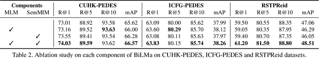 Figure 4 for BiLMa: Bidirectional Local-Matching for Text-based Person Re-identification