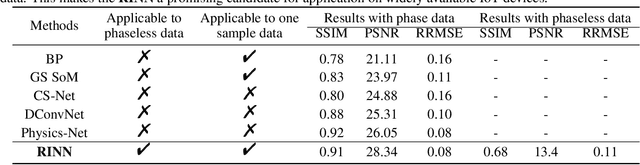 Figure 2 for RINN: One Sample Radio Frequency Imaging based on Physics Informed Neural Network