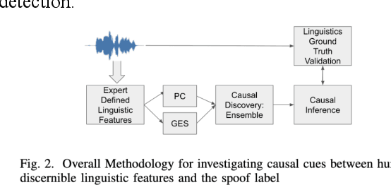 Figure 4 for Investigating Causal Cues: Strengthening Spoofed Audio Detection with Human-Discernible Linguistic Features