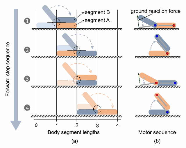 Figure 2 for FlipWalker: Jacob's Ladder toy-inspired robot for locomotion across diverse, complex terrain