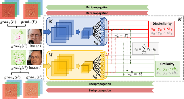 Figure 3 for Efficient Explainable Face Verification based on Similarity Score Argument Backpropagation