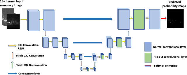 Figure 3 for Automatic Neuronal Activity Segmentation in Fast Four Dimensional Spatio-Temporal Fluorescence Imaging using Bayesian Approach